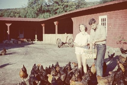 A man and woman standing in front of chickens.